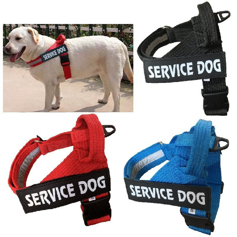 HHSP Adjustable Harness Vest — Everyday Dog Harness