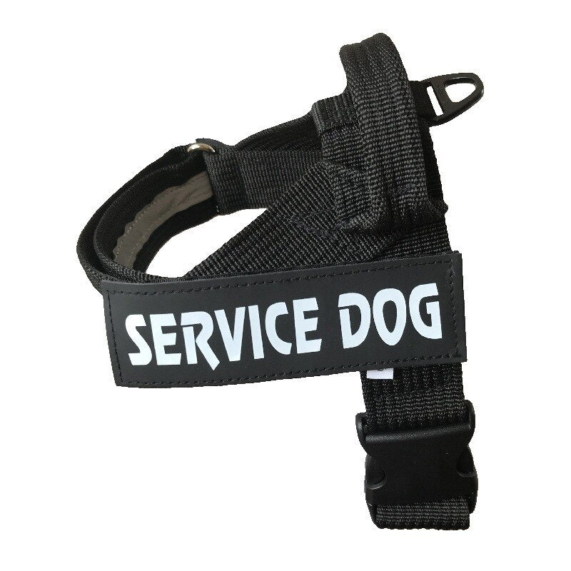 HHSP Adjustable Harness Vest — Everyday Dog Harness