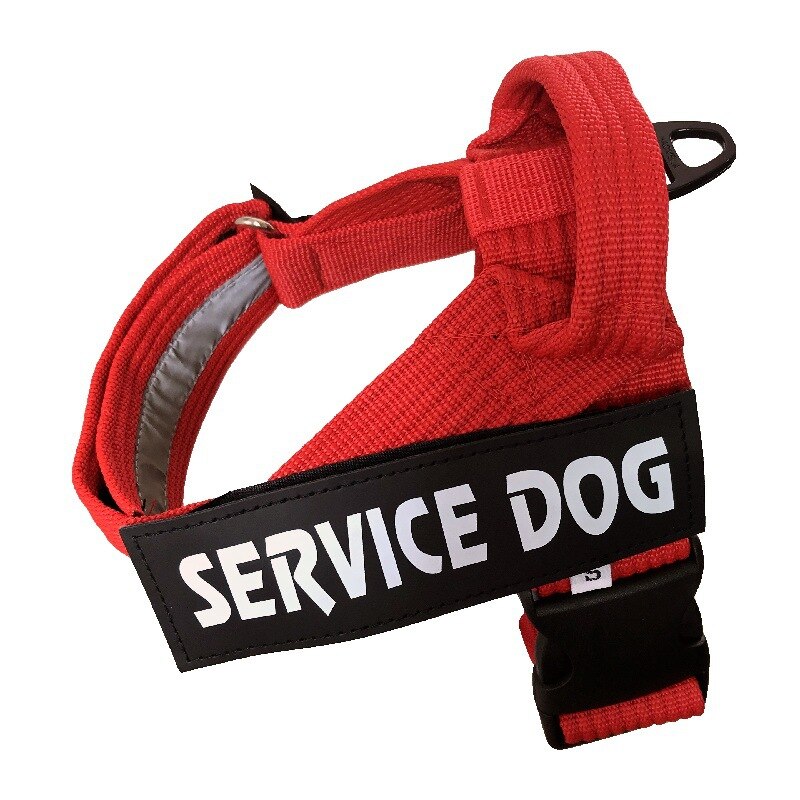 HHSP Adjustable Harness Vest — Everyday Dog Harness